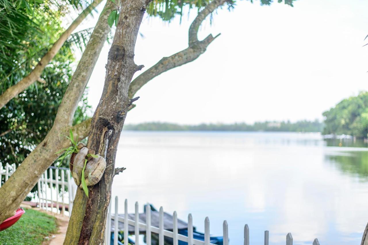 Scenery River Star Hotel Hikkaduwa Bagian luar foto